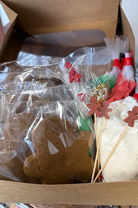 DIY Cookie Decorating Kit - Gingerbread